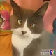 Sophie profile