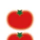 tomato profile