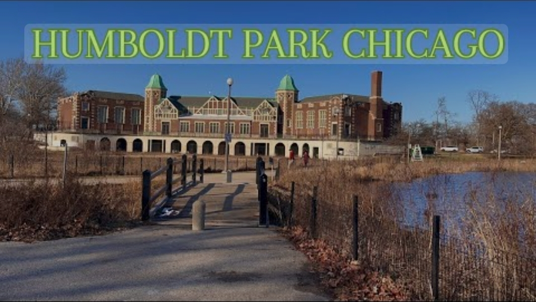 Jesus Irizarry profile