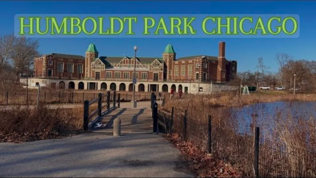 Jesus Irizarry profile