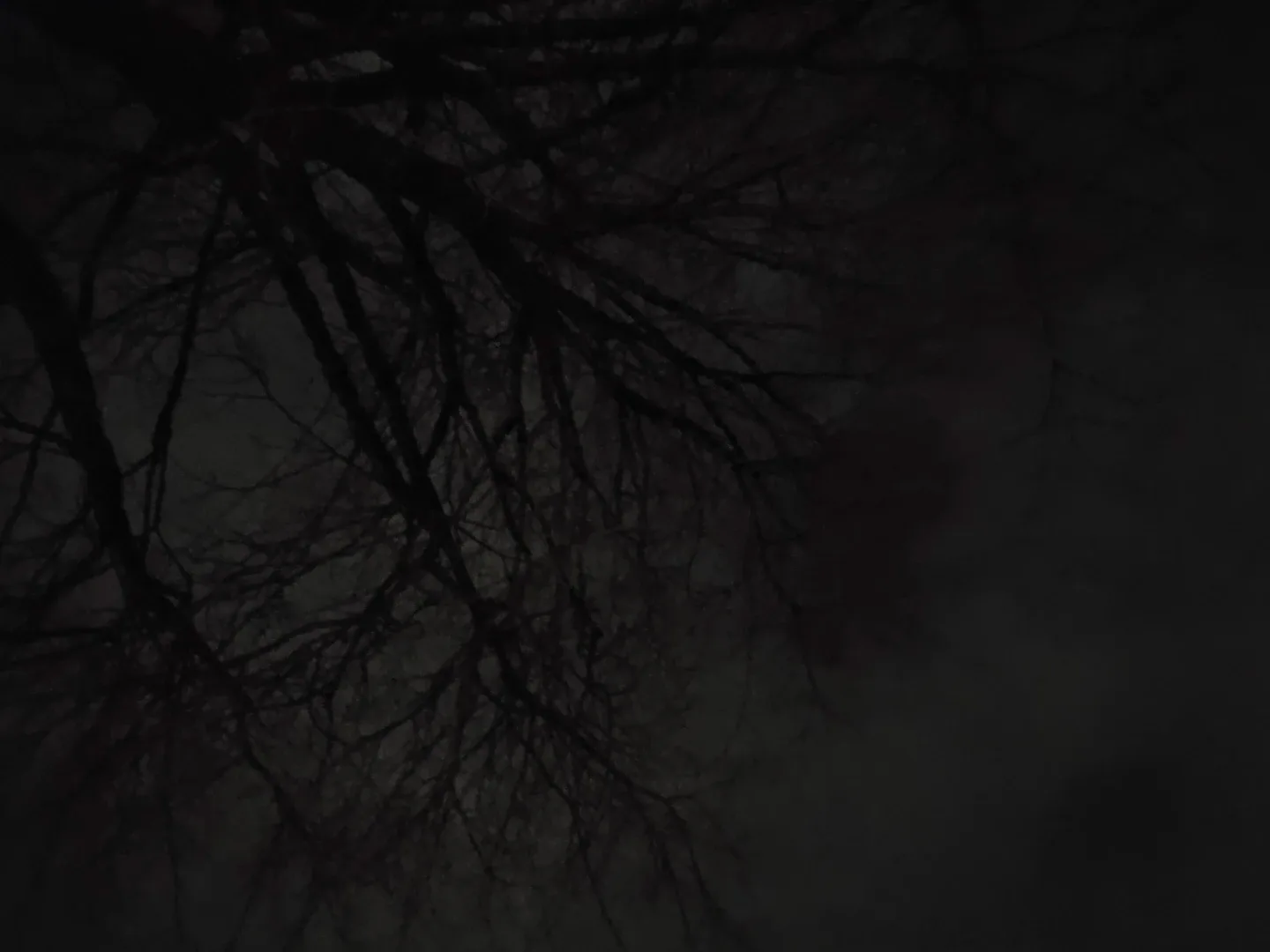 Sharmin Akhter profile