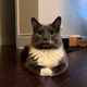 za profile