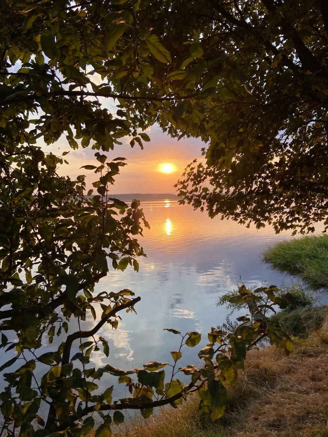 Sierra Walker profile