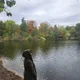 Saljui profile