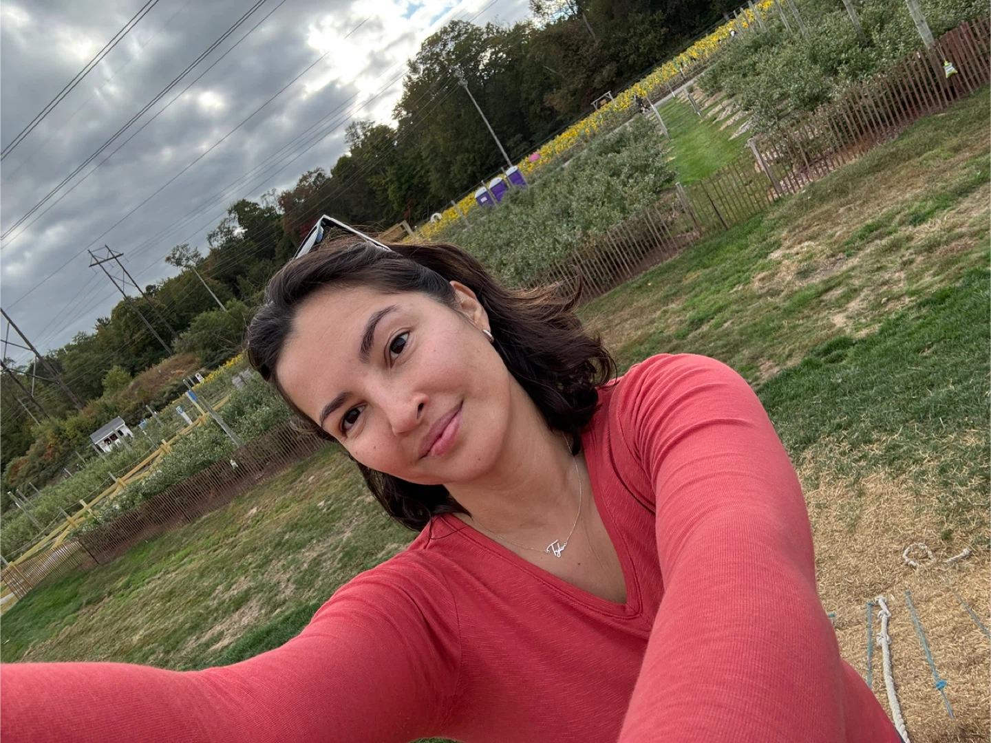 Tamiris profile