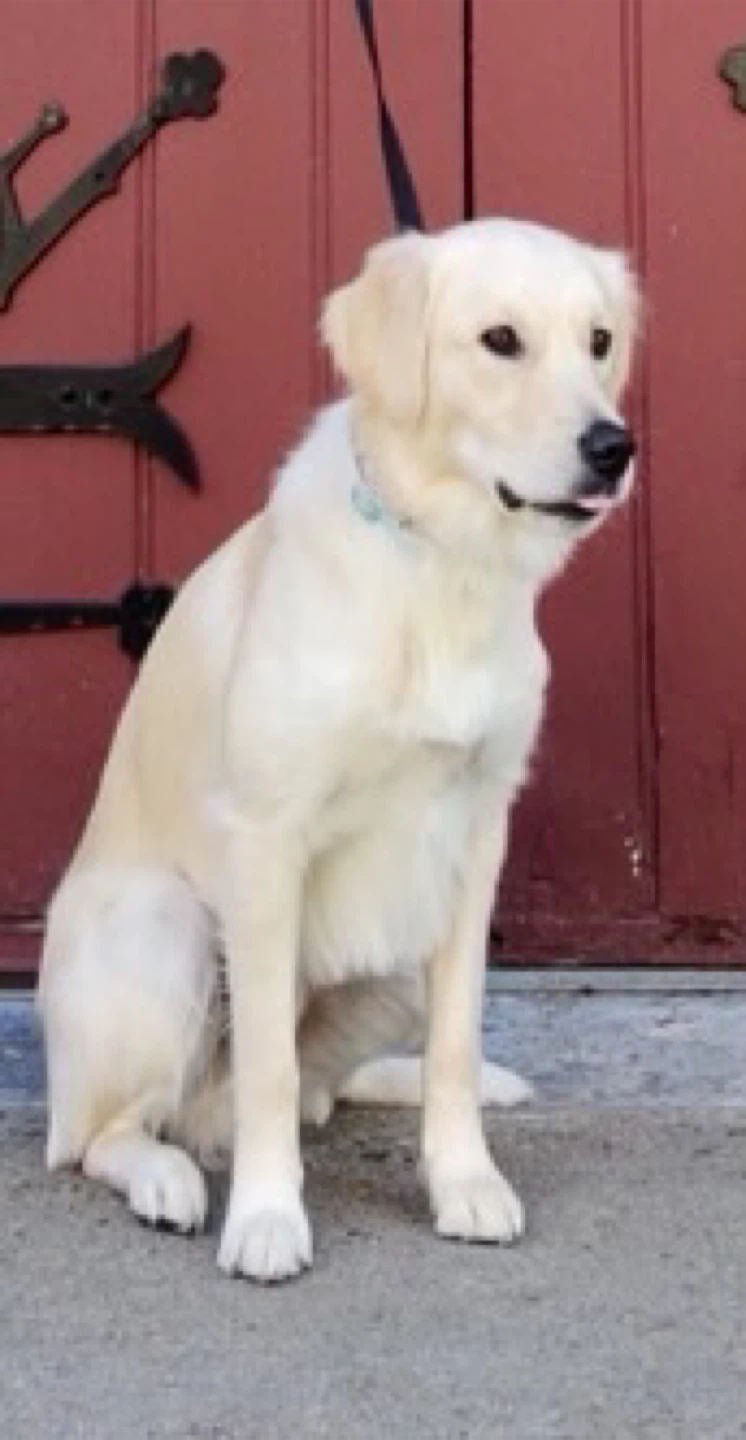 Eric profile