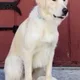 Eric profile