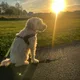 Maggie profile