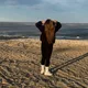 Viktoriia profile