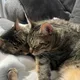 Jens profile