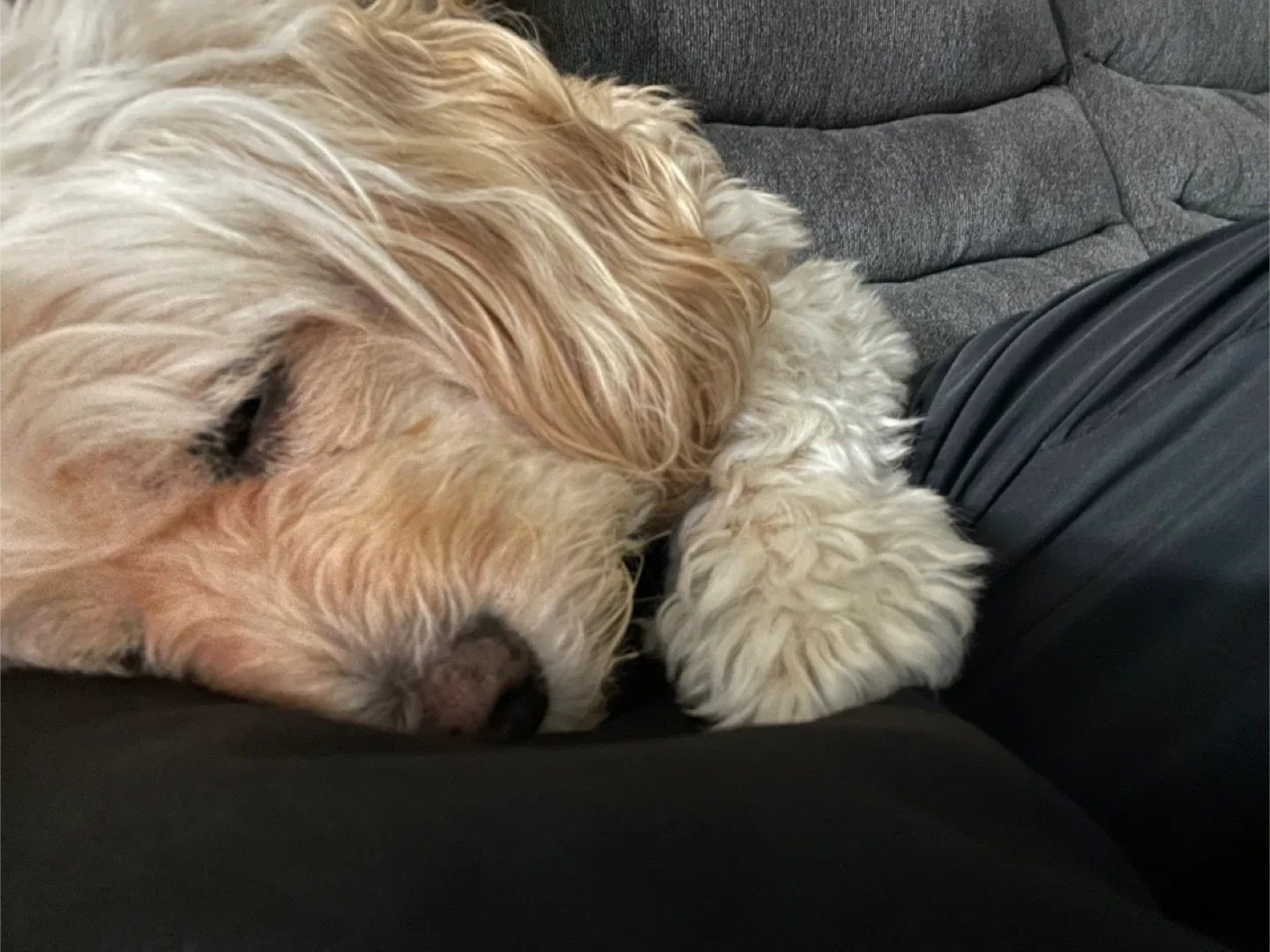 Luigi Baldin profile