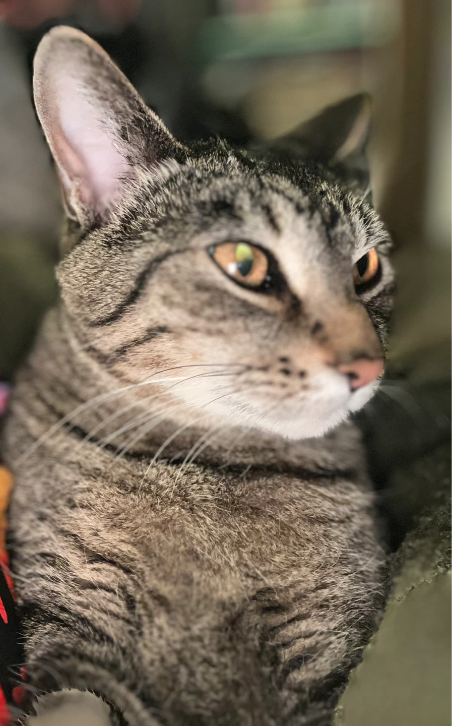 Kenzy88 profile