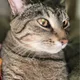 Kenzy88 profile