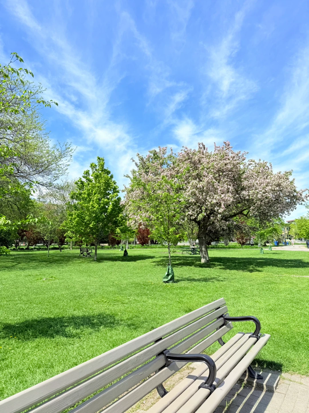 Fuad Bin Sagor profile