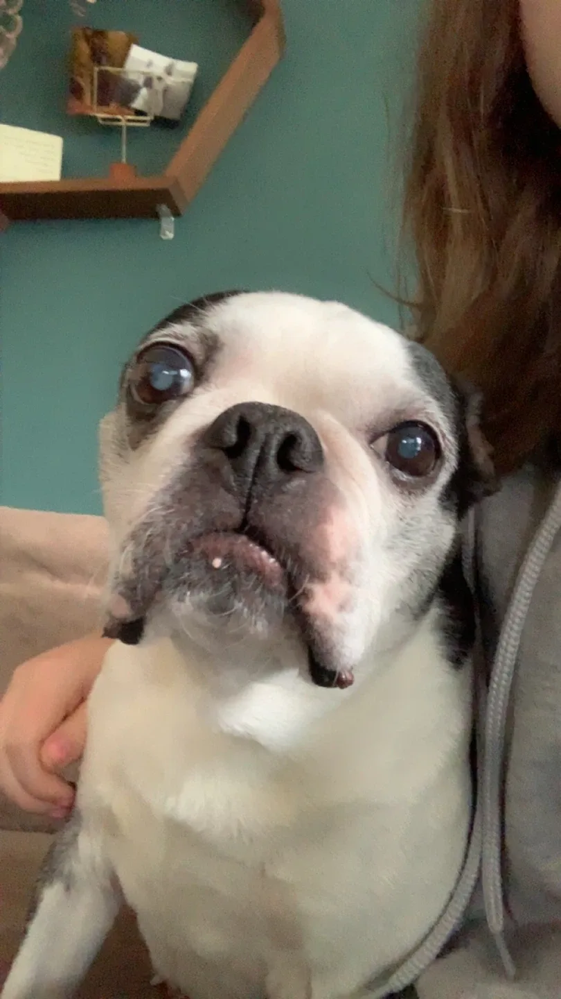 Avery Hartman profile