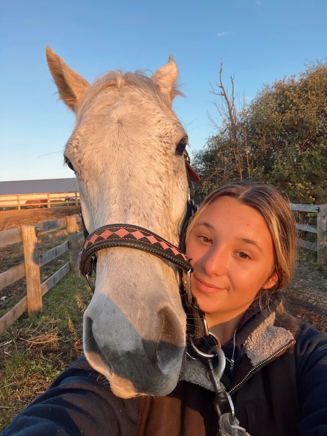 Marisa Cleary profile