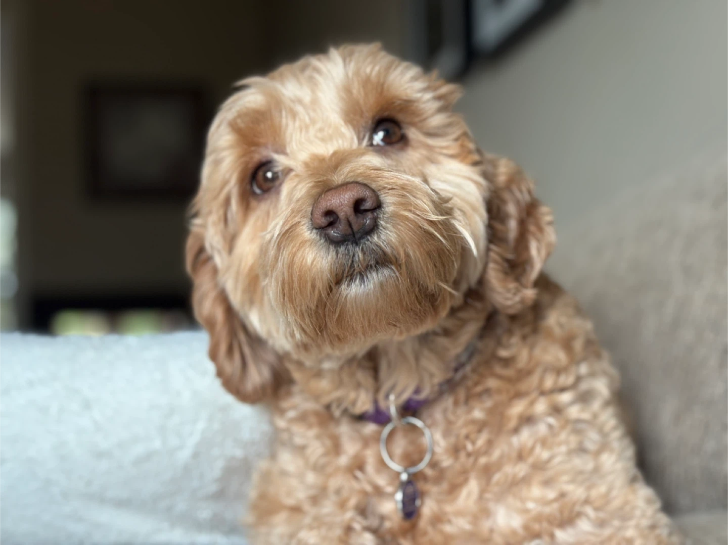 MaryAnn profile