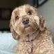 MaryAnn profile