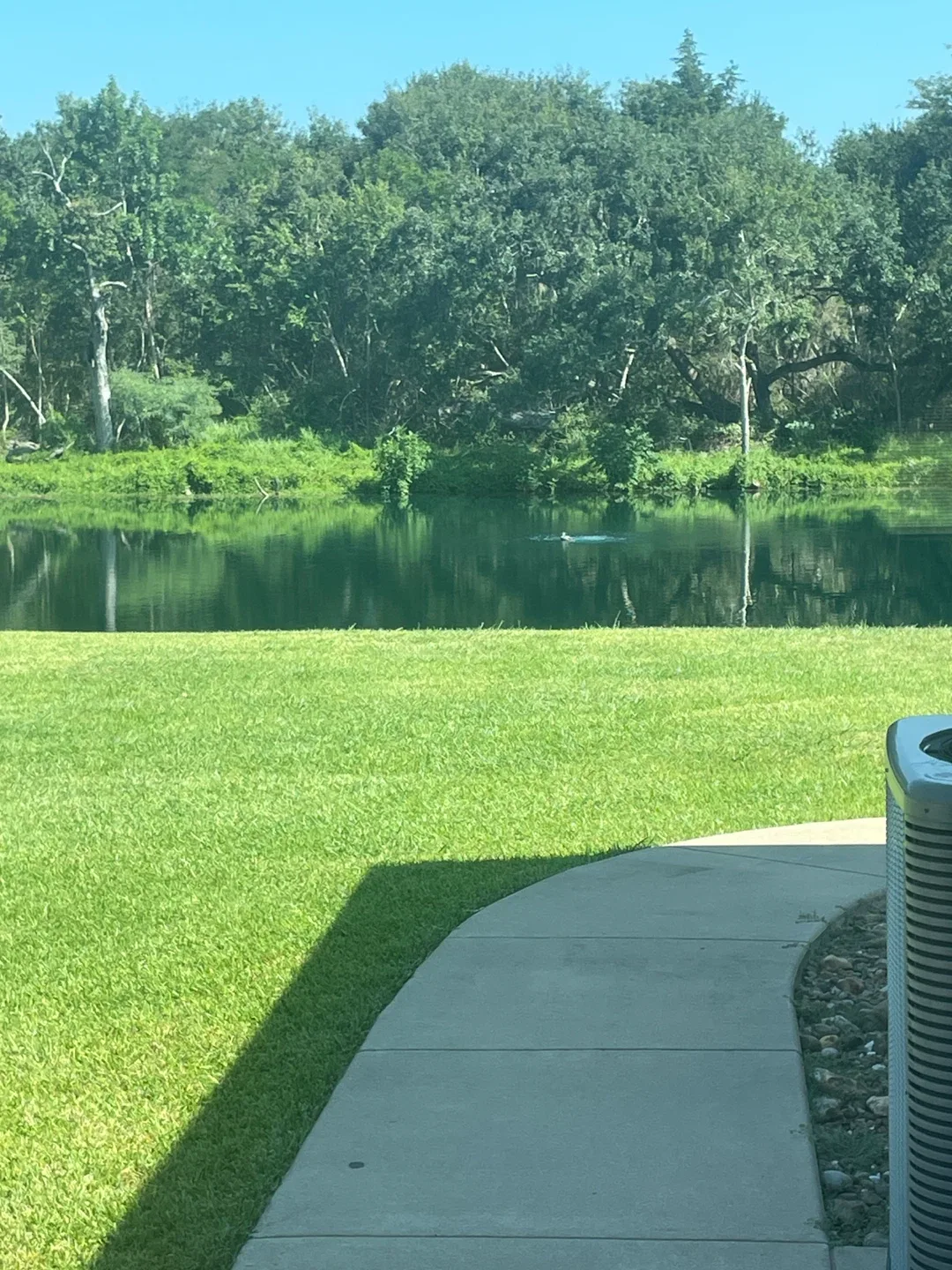 Joselito shop profile