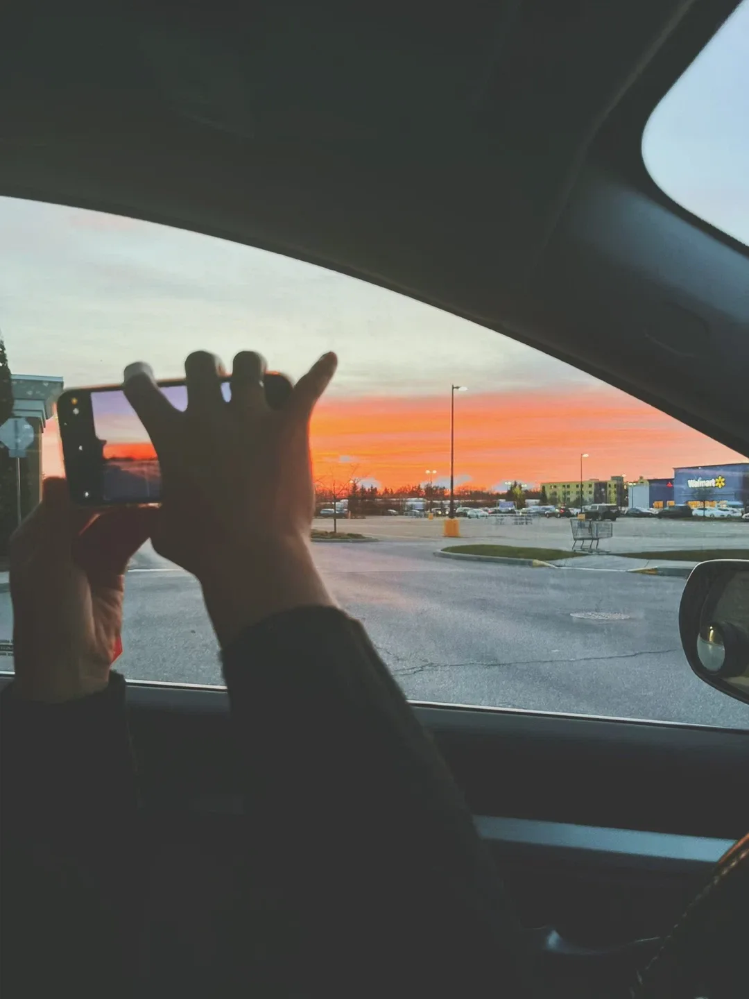 kyla heetkamp profile