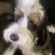 Gianluca profile