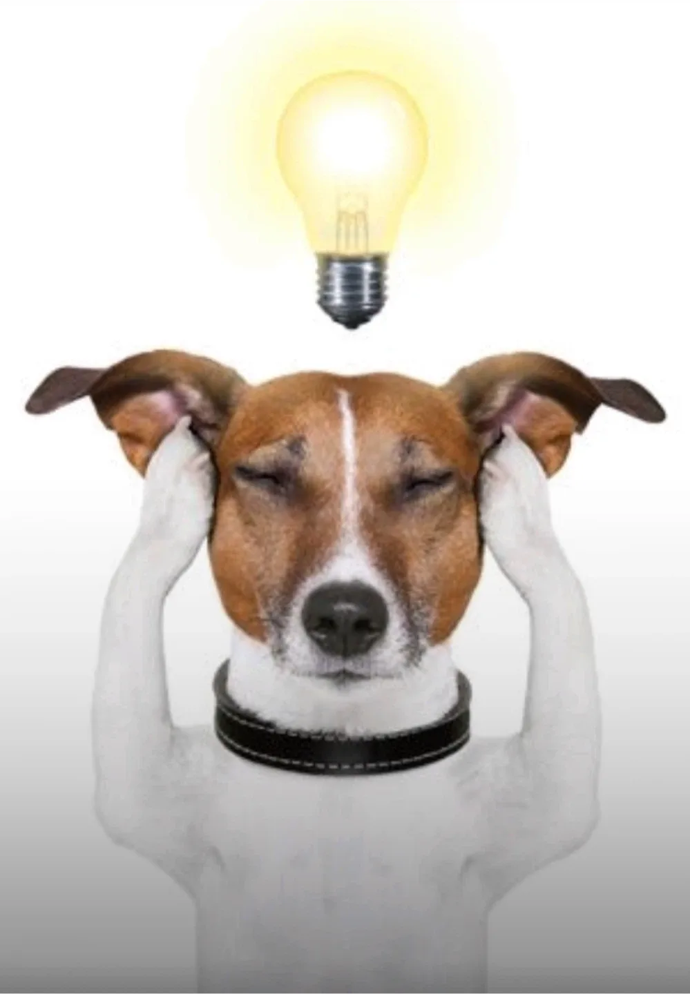 Menardo Gonzalez profile