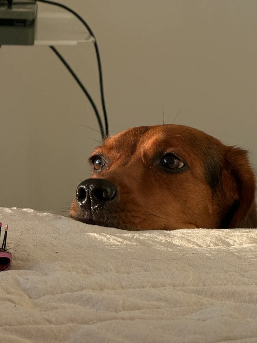 Manuel Martinez profile