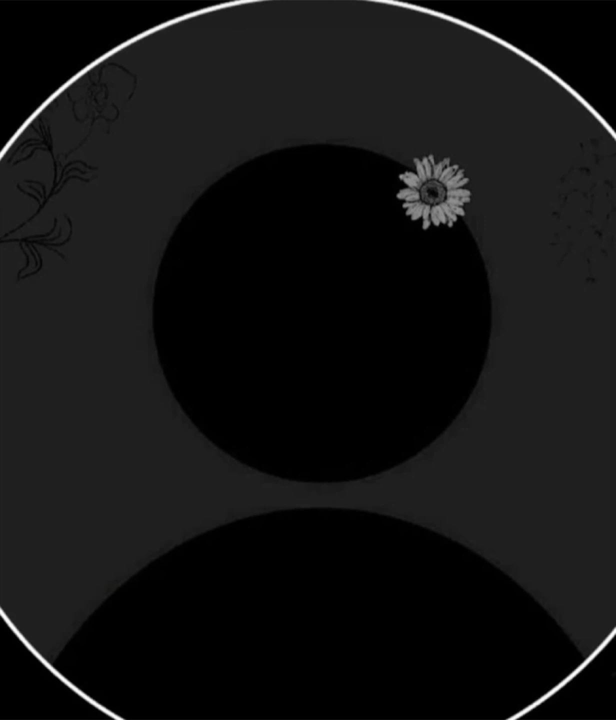 Niza profile