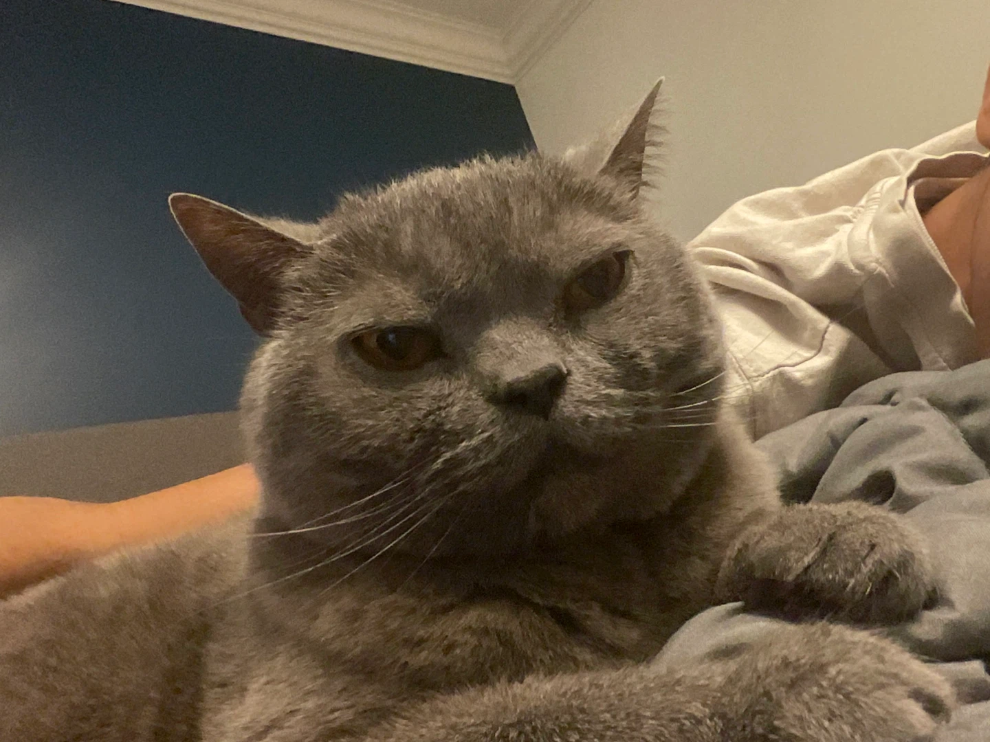 Ameer U profile