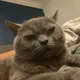 Ameer U profile