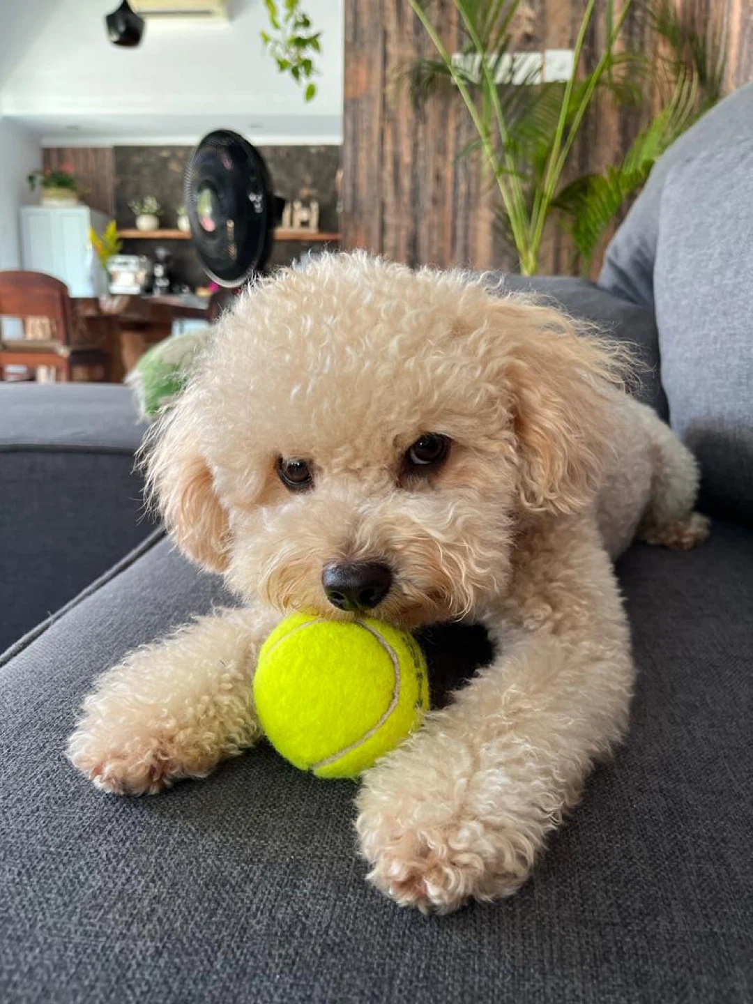 Max profile