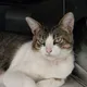 klaus profile
