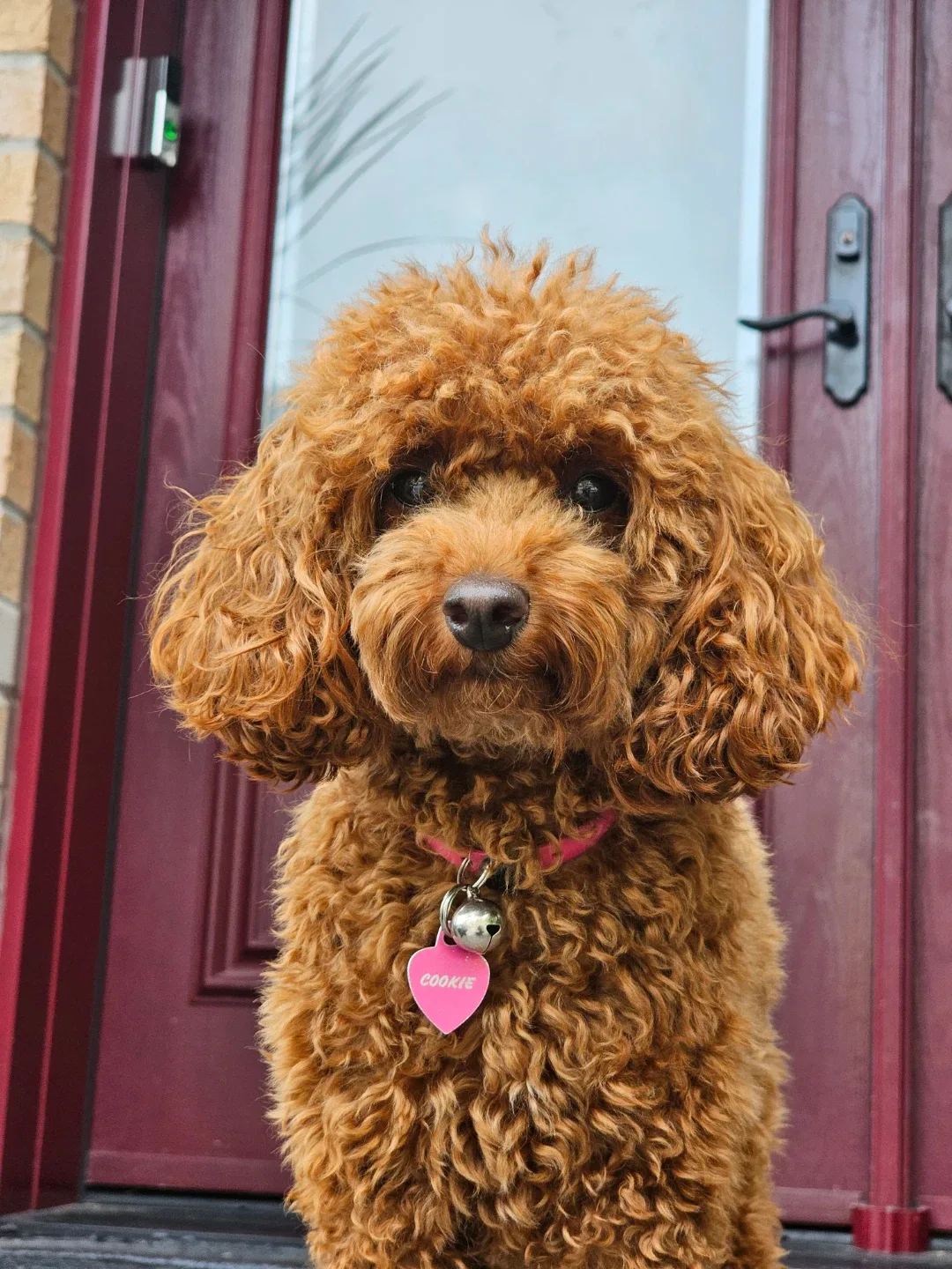 Chatak Matak profile