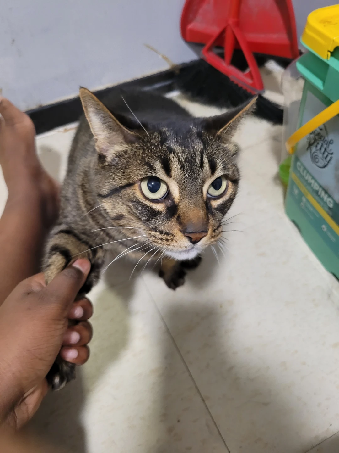 Skye and Leo profile