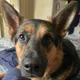 Dave profile