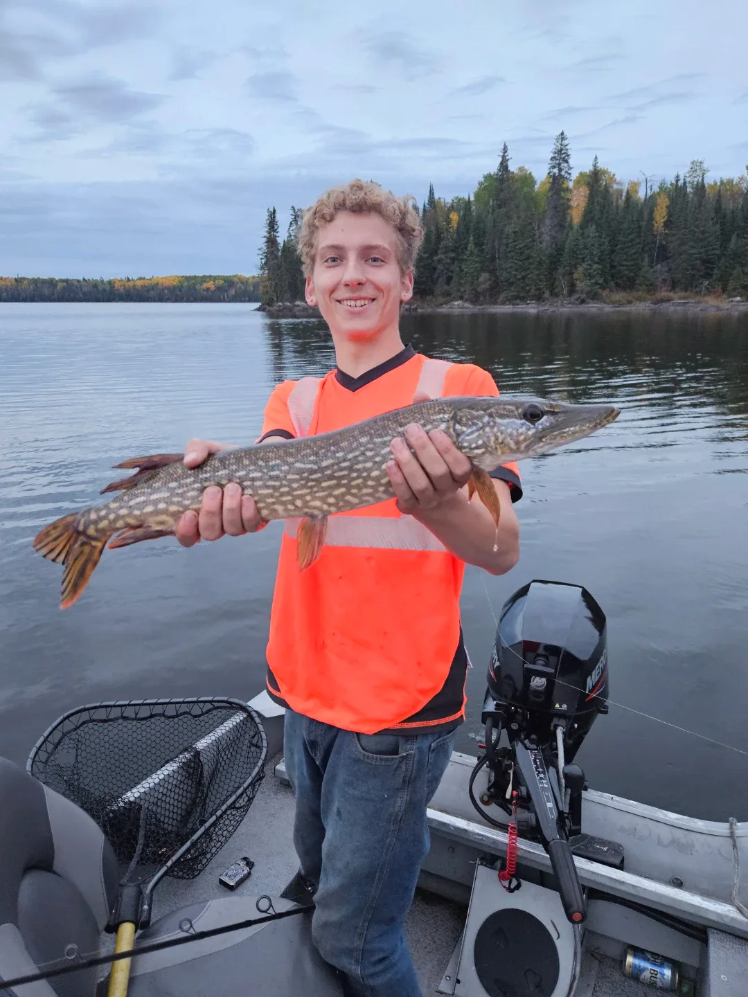 Brax beddall profile