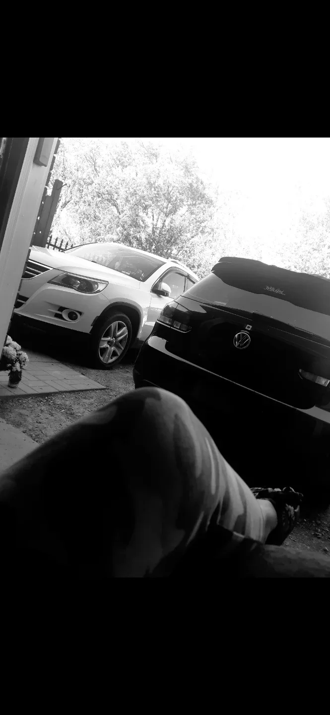 AmericanAkita 306 profile