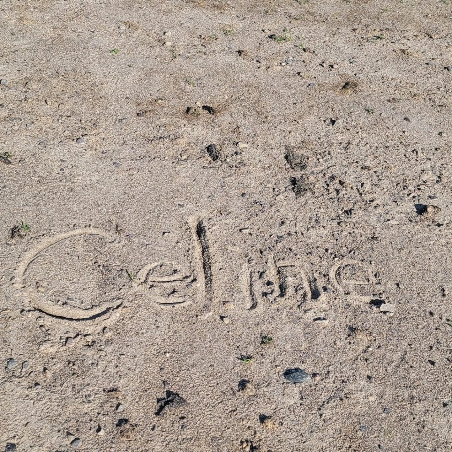 Celine Ronald profile