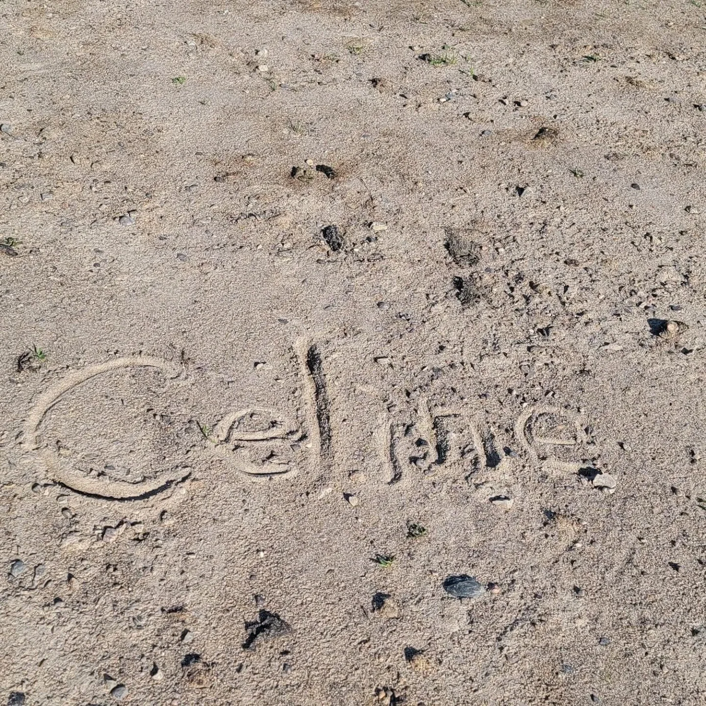 Celine Ronaldo profile