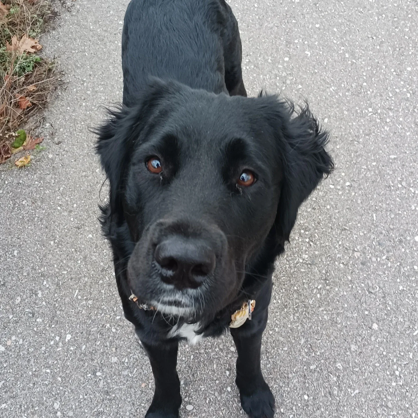 Cylis Taylor profile