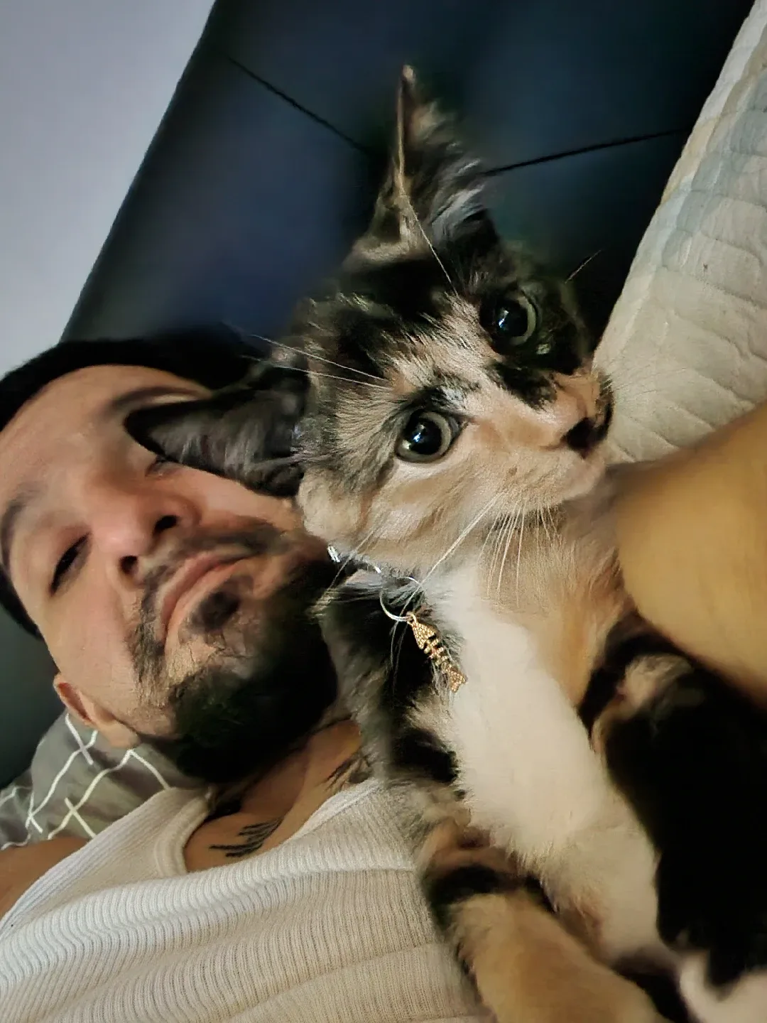 benitez alex profile