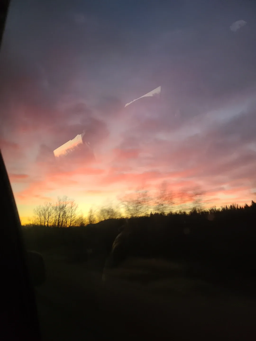 Hailey Kubicek profile