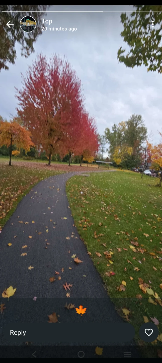 amandeep kaur profile