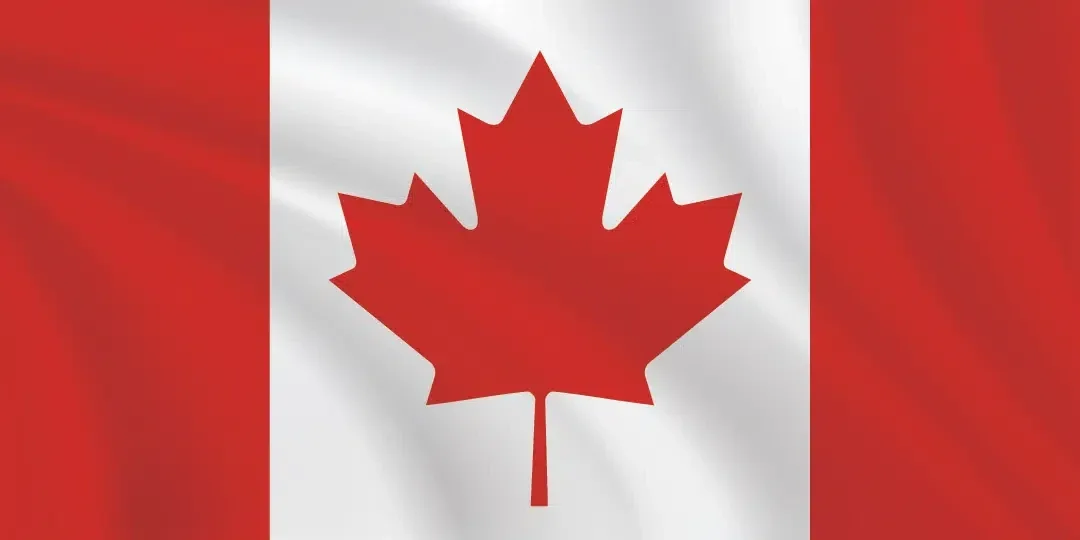 Walter White profile