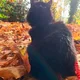 Aubrey profile