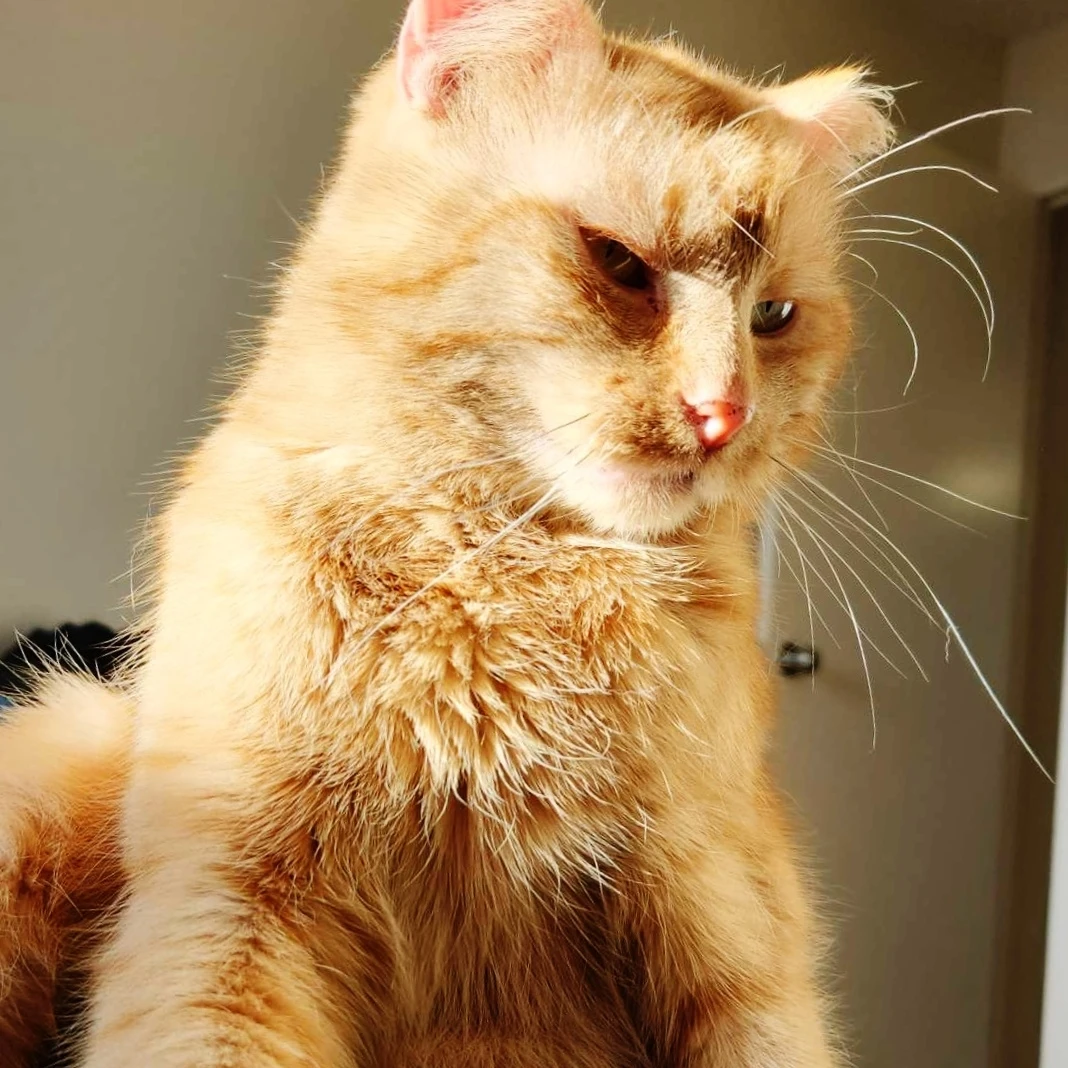 Bill profile