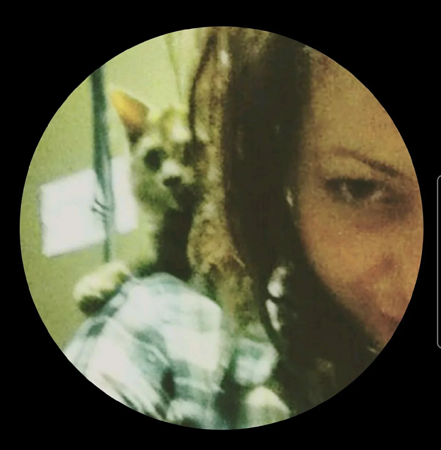 Christine MacDonald profile