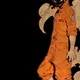 CJ profile