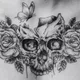 ddotcdota profile