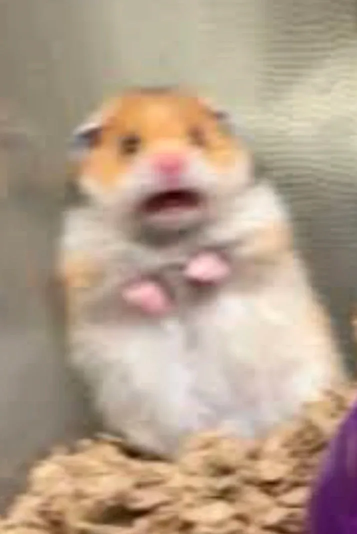 EirwynTheBrokeGirl profile